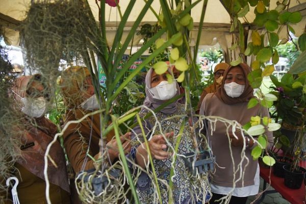 Nawal Dorong Pengembangan Tanaman Hias Sumut hingga Eskpor